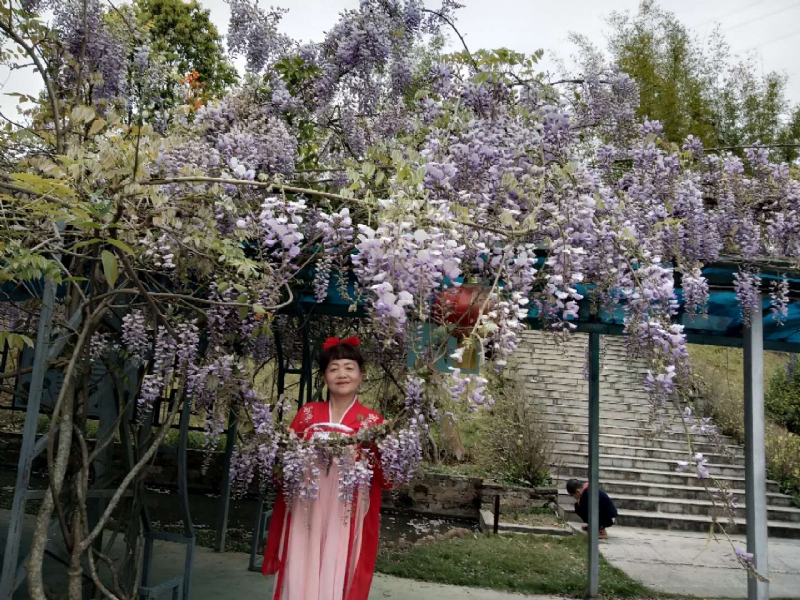 莉莉的第一张照片--仙游征婚网
