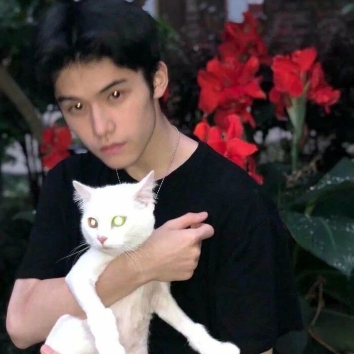 爷的魅力你不懂的第一张照片--仙游征婚网