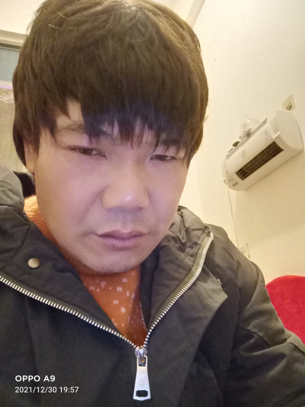小鸟找窝的第二张照片--仙游征婚网